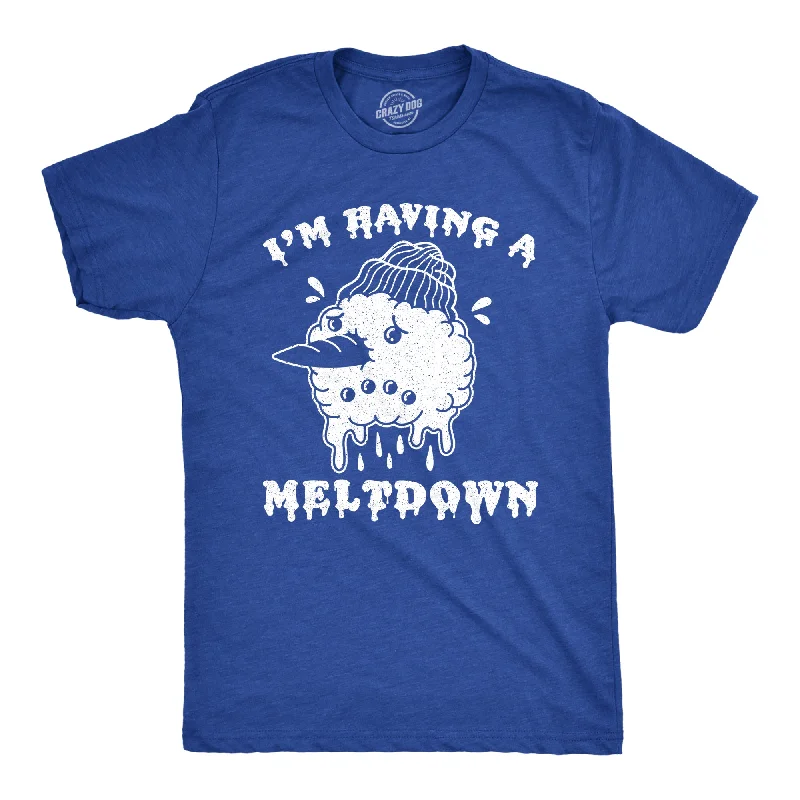 Men's artistic print t-shirt-I'm Having A Meltdown Men's T Shirt