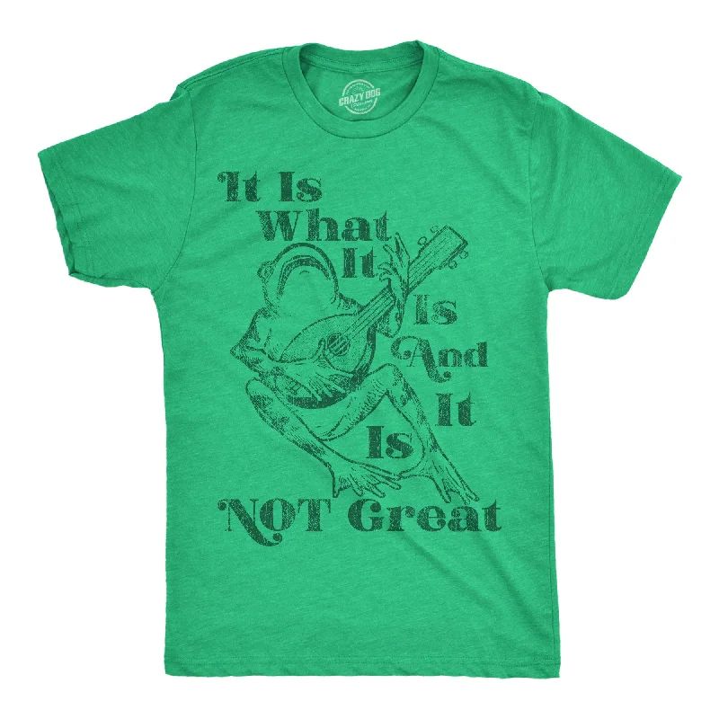 Men's beachwear t-shirt-It Is What It Is And It Is Not Great Men's T Shirt