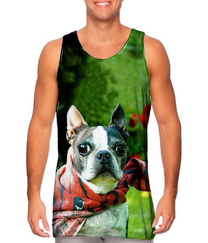 Super Hero Boston Terrier