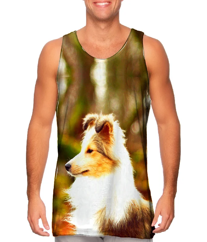 Swift Sheltie