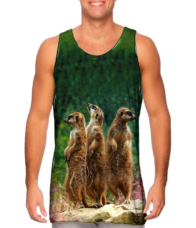 Three Meerkats